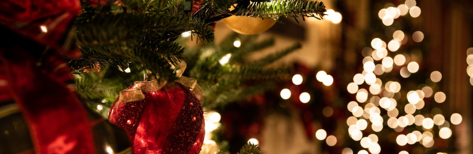 Вокруг ёлки: изучаем историю рождественских и новогодних традиций